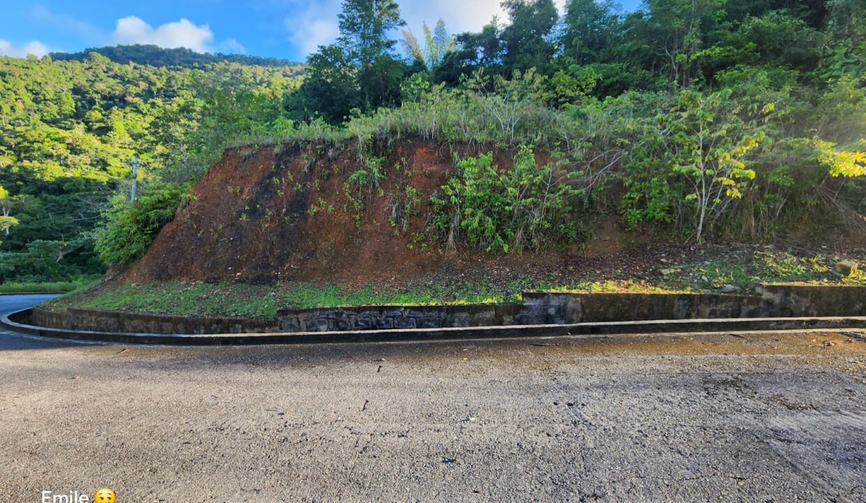 WhatsApp Image 2025-09-13 at 11.57.03 AM