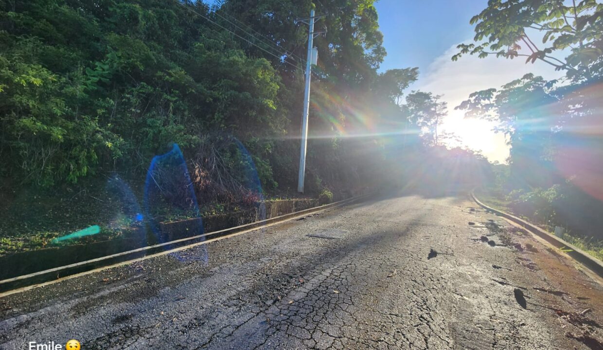 WhatsApp Image 2025-09-13 at 11.57.04 AM (1)