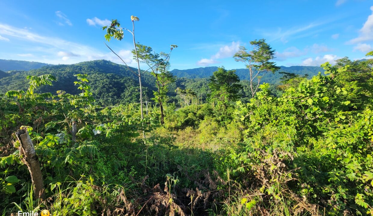 WhatsApp Image 2025-09-13 at 11.57.04 AM (2)