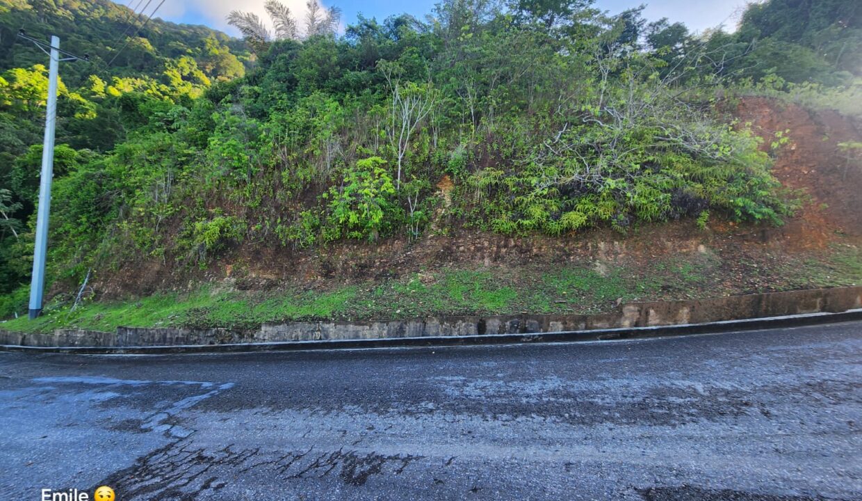 WhatsApp Image 2025-09-13 at 11.57.05 AM (1)