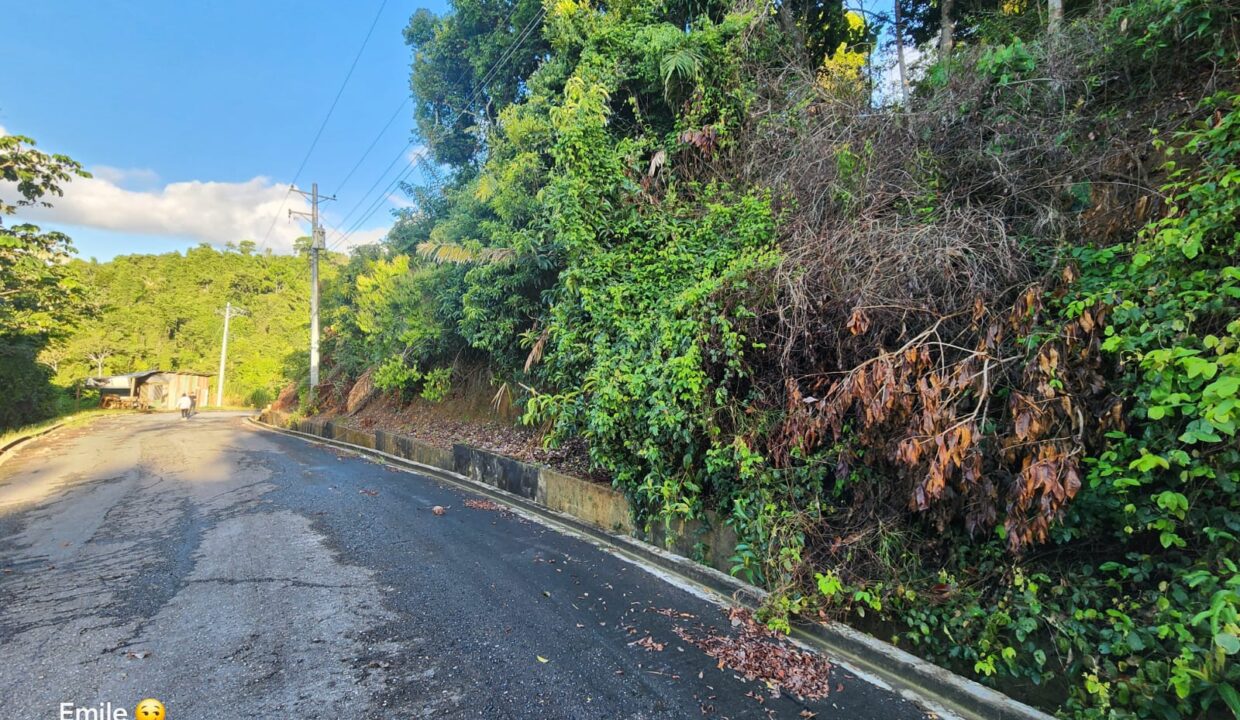 WhatsApp Image 2025-09-13 at 11.57.05 AM