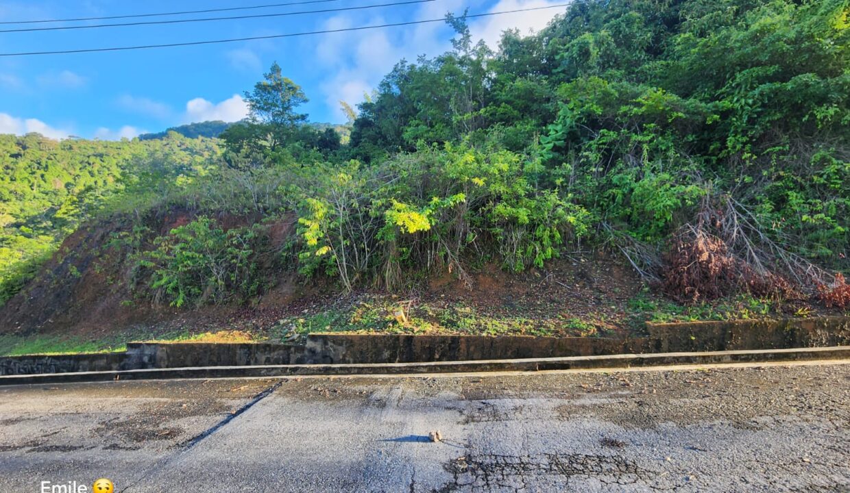 WhatsApp Image 2025-09-13 at 11.57.06 AM (1)