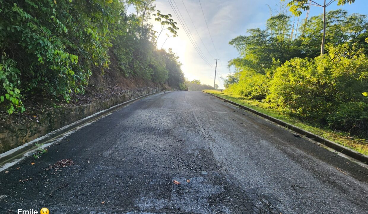 WhatsApp Image 2025-09-13 at 11.57.06 AM