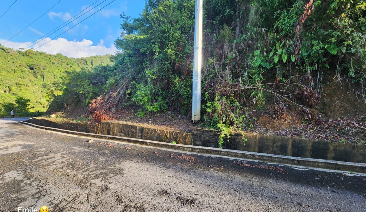 WhatsApp Image 2025-09-13 at 11.57.06 AM (3)