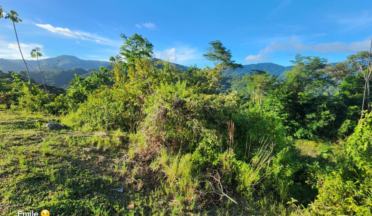 WhatsApp Image 2025-09-13 at 11.57.07 AM (1)