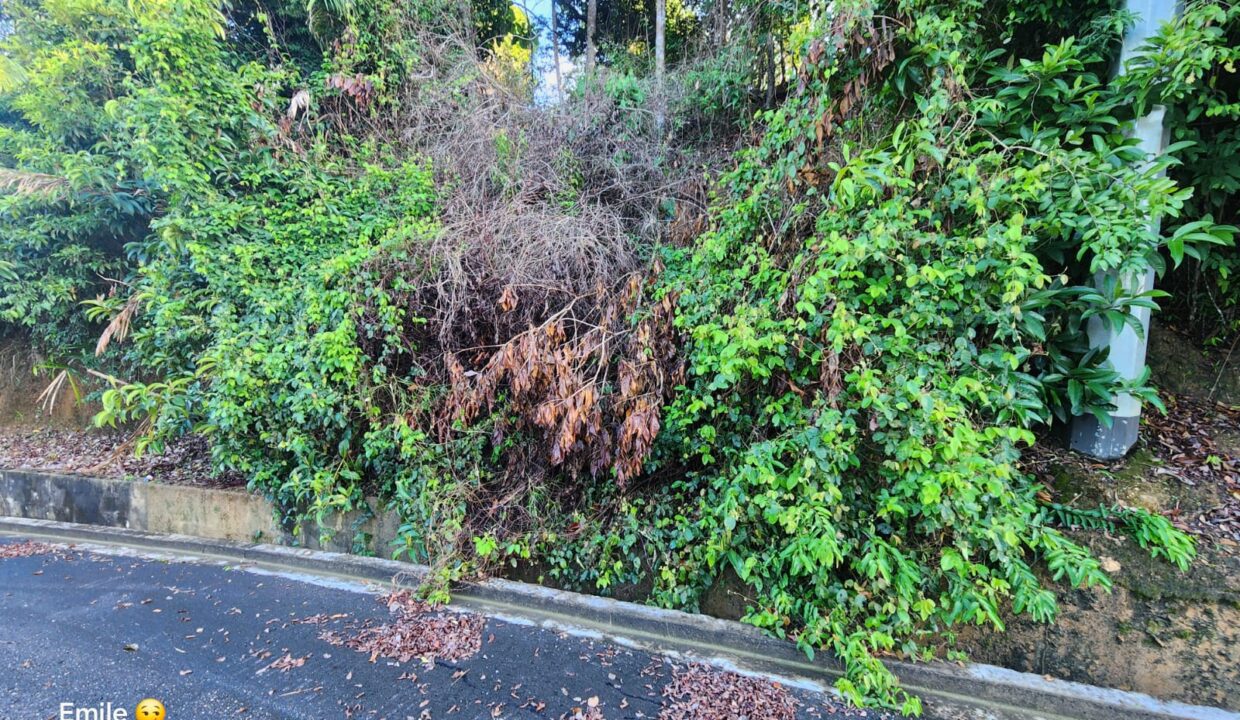 WhatsApp Image 2025-09-13 at 11.57.07 AM (2)