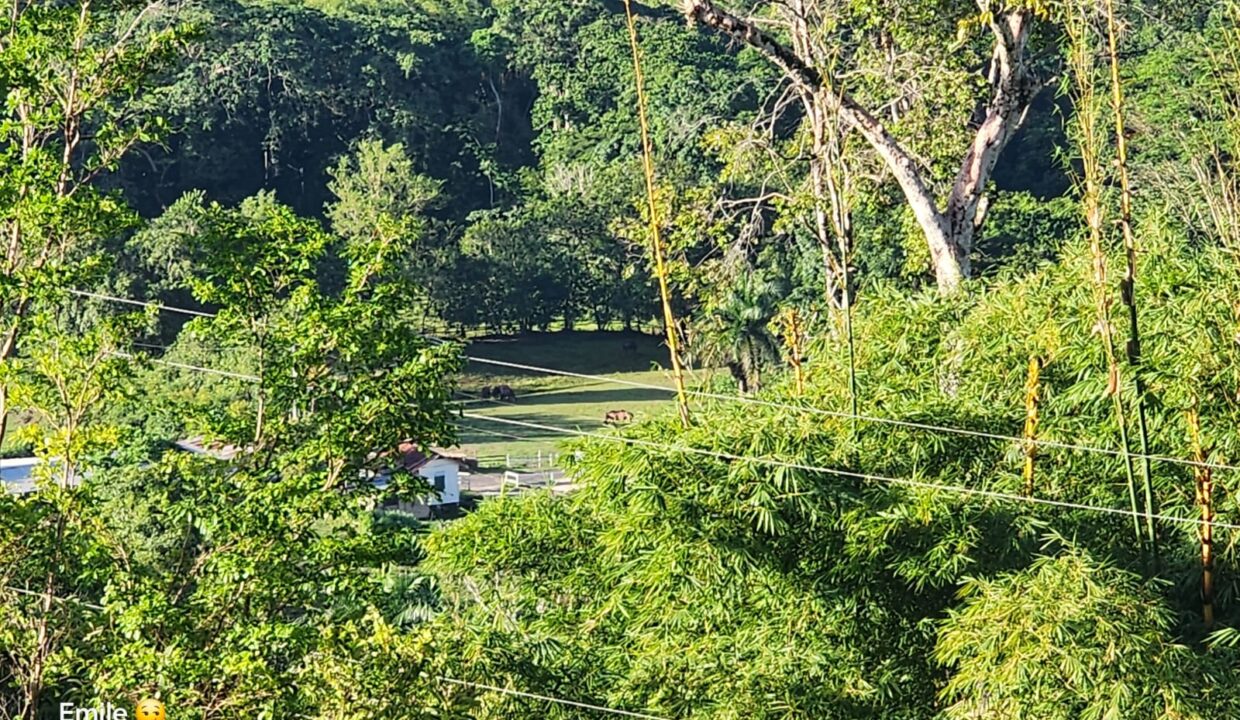 WhatsApp Image 2025-09-13 at 11.57.08 AM (1)