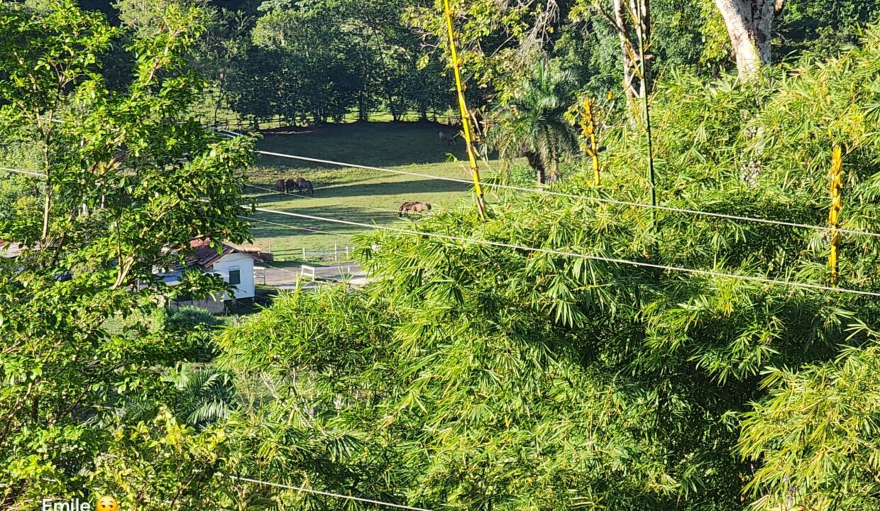 WhatsApp Image 2025-09-13 at 11.57.08 AM