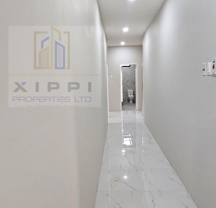 WhatsApp Image 2025-09-13 at 2.30.44 PM (3)