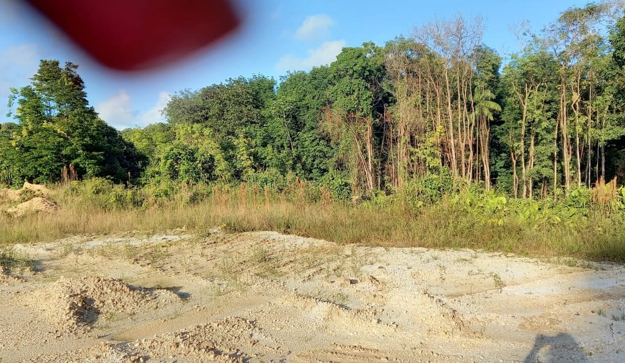 WhatsApp Image 2025-09-18 at 3.08.31 PM (3)