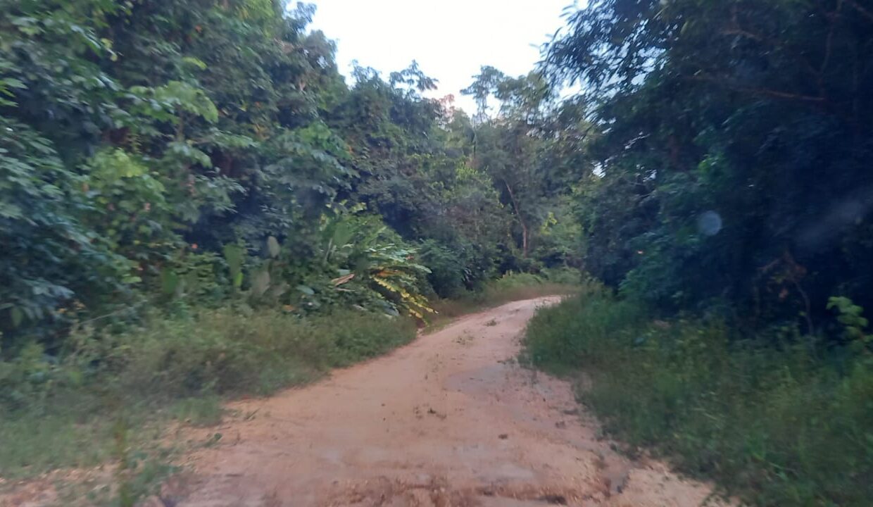 WhatsApp Image 2025-09-18 at 3.08.32 PM (2)