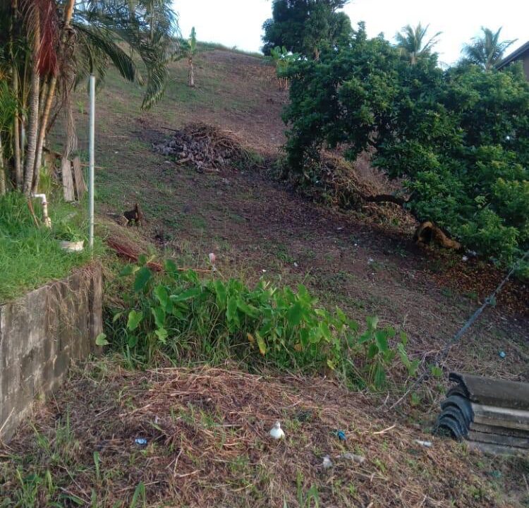WhatsApp Image 2025-10-18 at 5.57.16 PM (1)