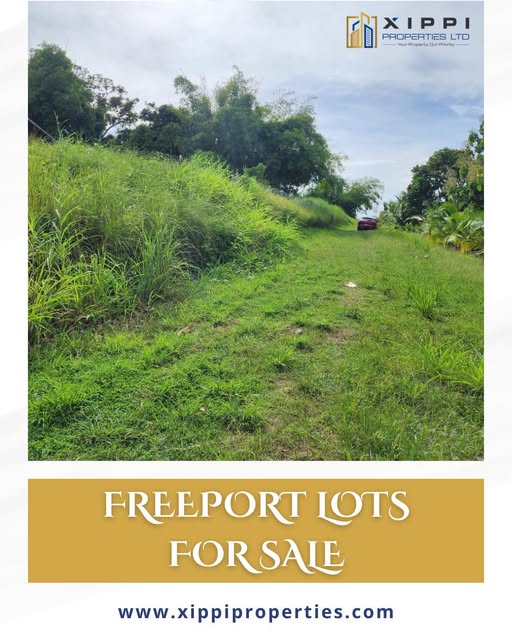 570989223_1355194699634815_1577684305221723673_n