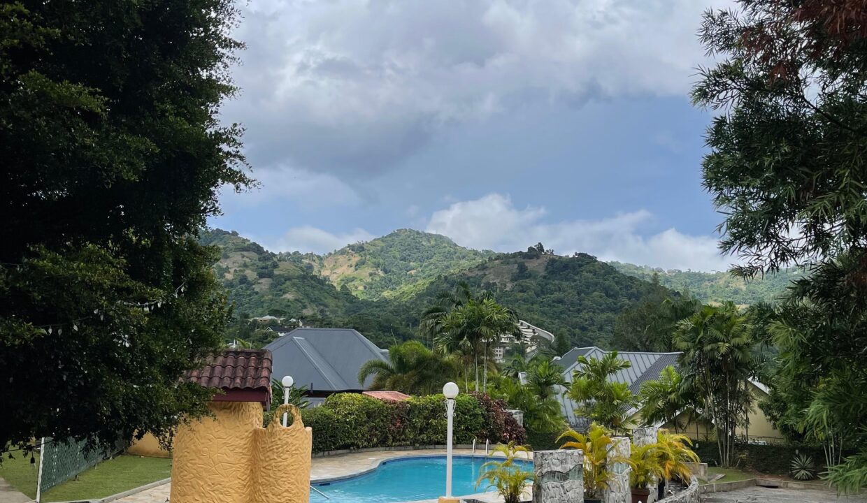 97f8c65d-08e6-4ebf-92f6-5908f699546e