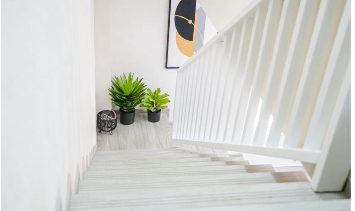 WhatsApp Image 2025-10-19 at 2.55.20 PM (1)