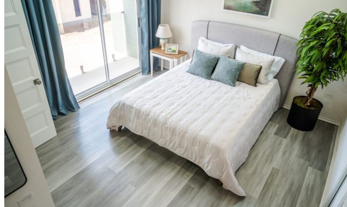 WhatsApp Image 2025-10-19 at 2.55.21 PM (1)