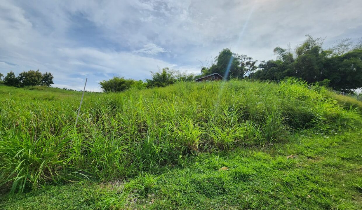 WhatsApp Image 2025-10-19 at 2.59.42 PM