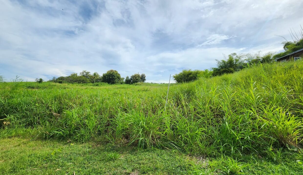 WhatsApp Image 2025-10-19 at 2.59.42 PM (2)