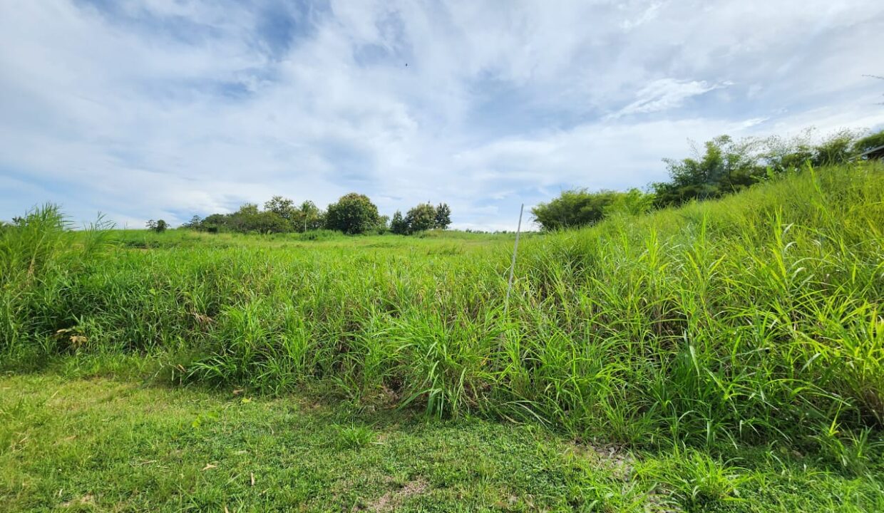 WhatsApp Image 2025-10-19 at 2.59.42 PM (3)