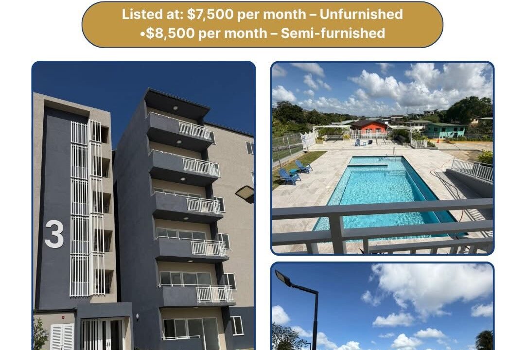 Image - 2026-03-19T121308.457