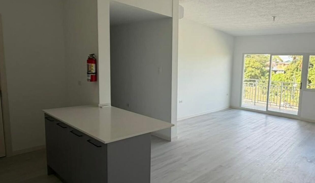 Image - 2026-03-19T121319.387