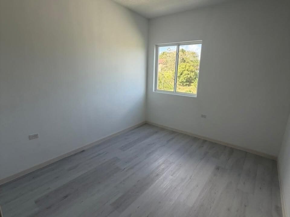 Image - 2026-03-19T121458.346