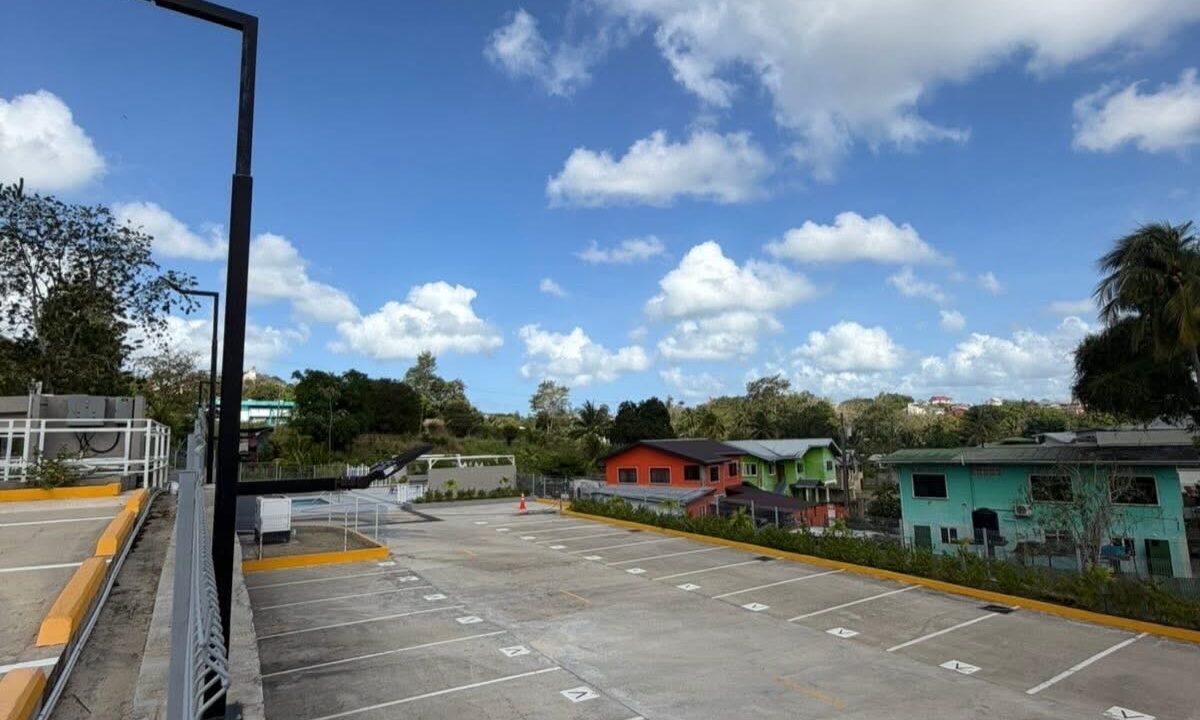 Image - 2026-03-19T121514.625