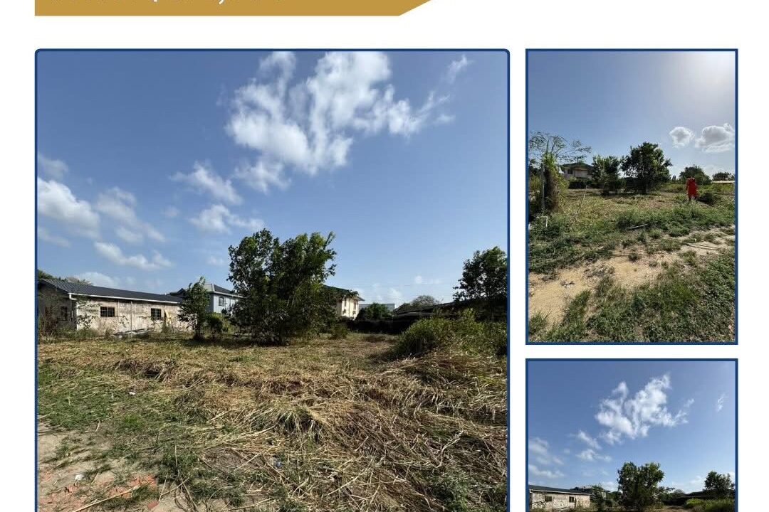 Image - 2026-03-19T130049.779