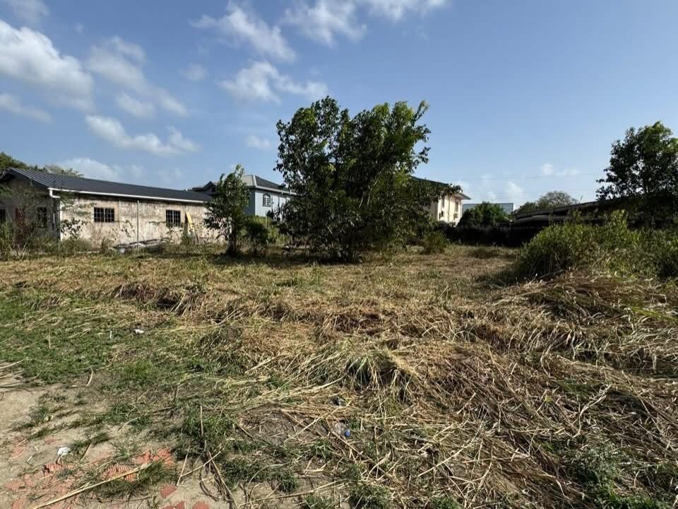 Image - 2026-03-19T130053.013