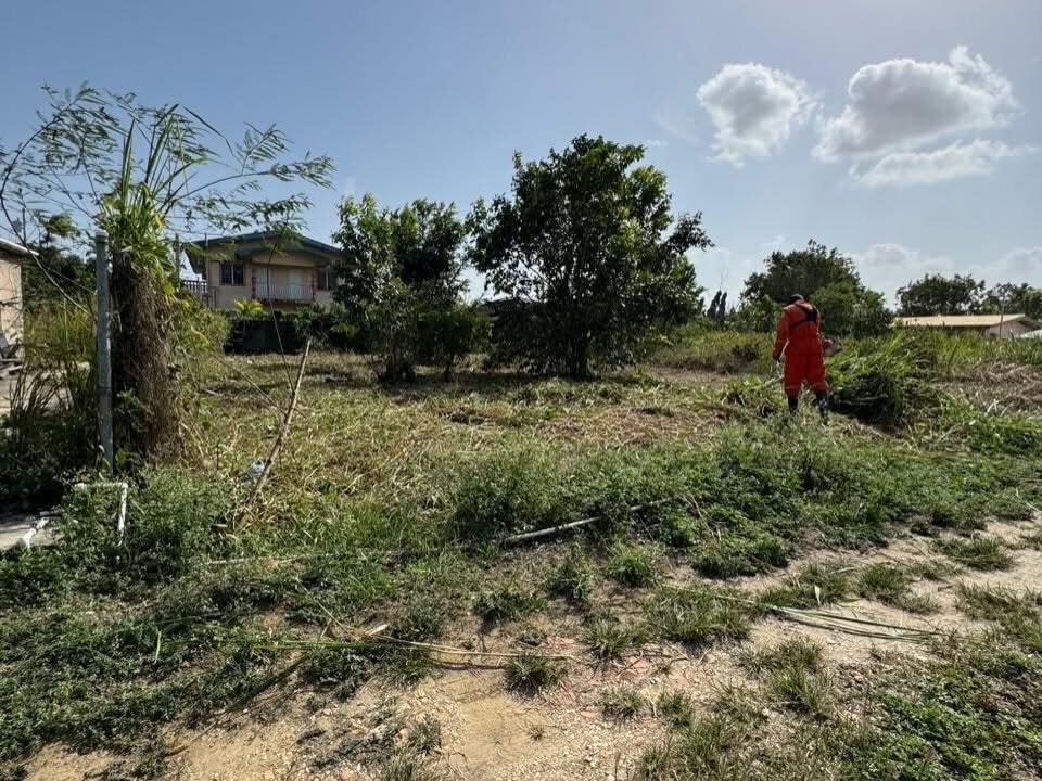 Image - 2026-03-19T130058.408