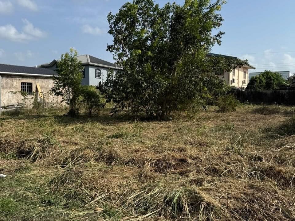 Image - 2026-03-19T130101.011