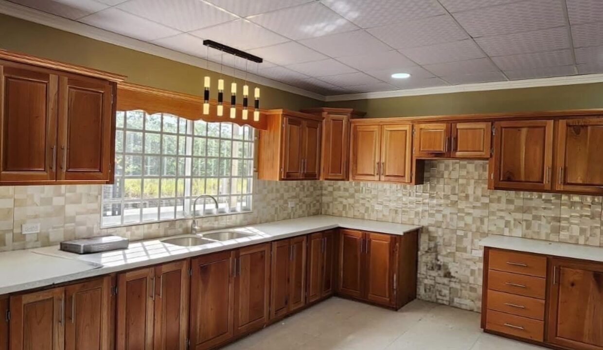 Image - 2026-03-19T131906.425