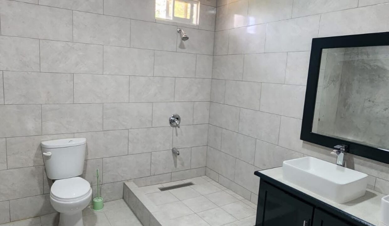 Image - 2026-03-19T131919.993