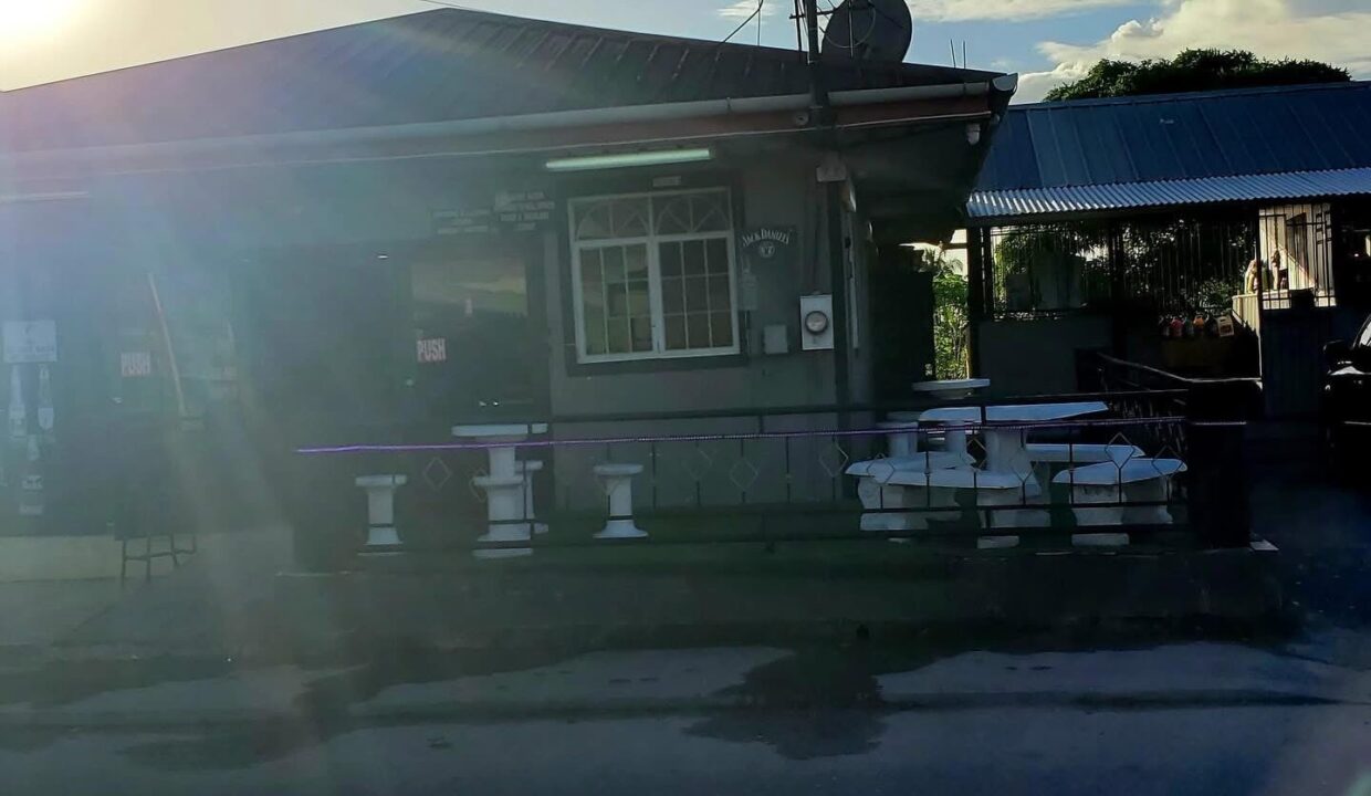 Image - 2026-03-19T133740.479