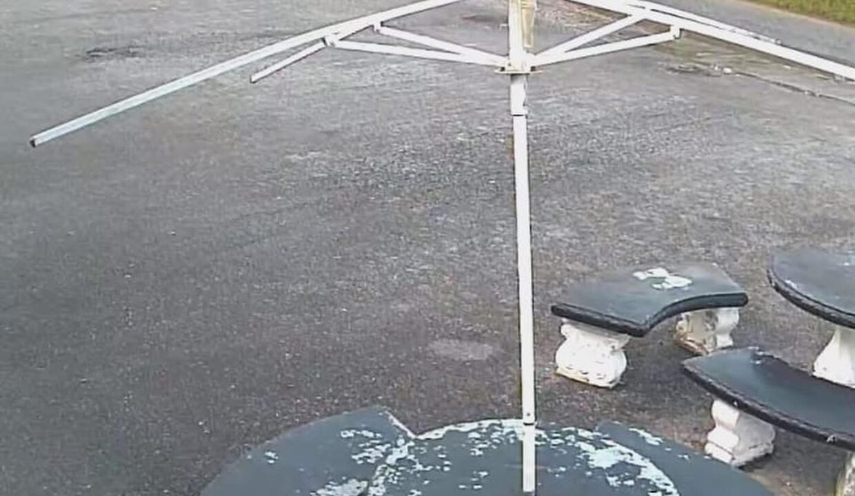 Image - 2026-03-19T133808.249