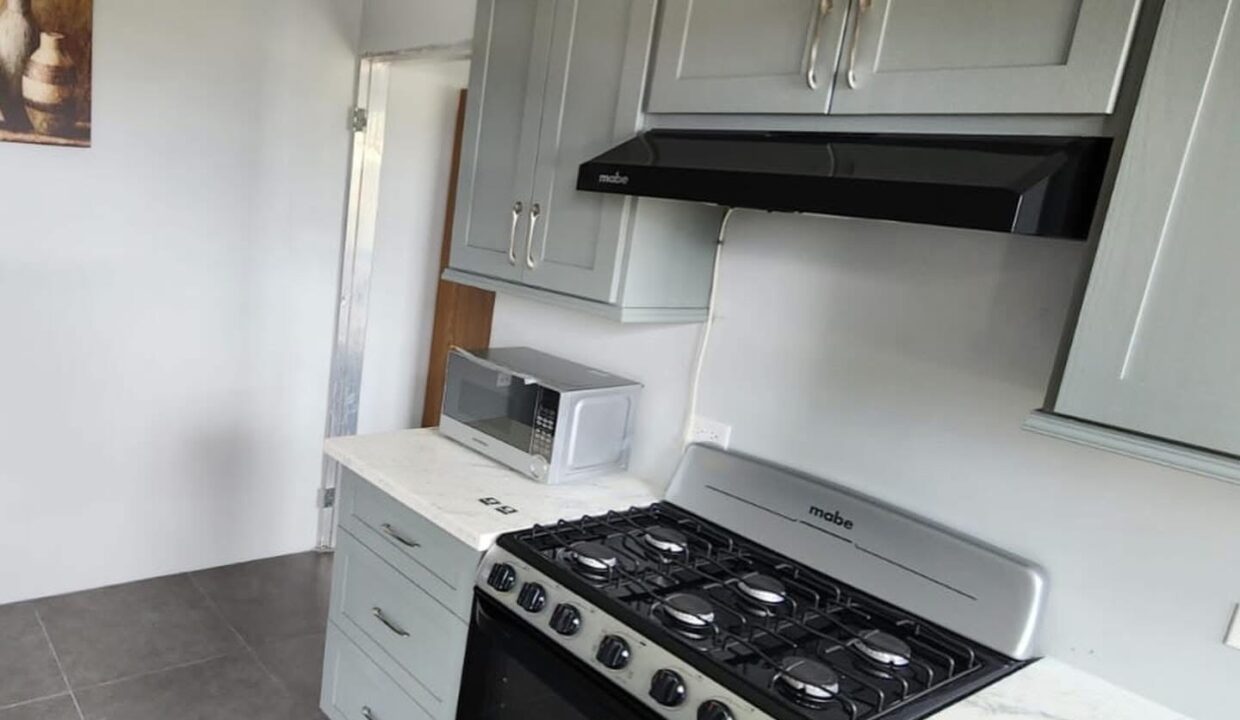 Image - 2026-03-19T160754.725