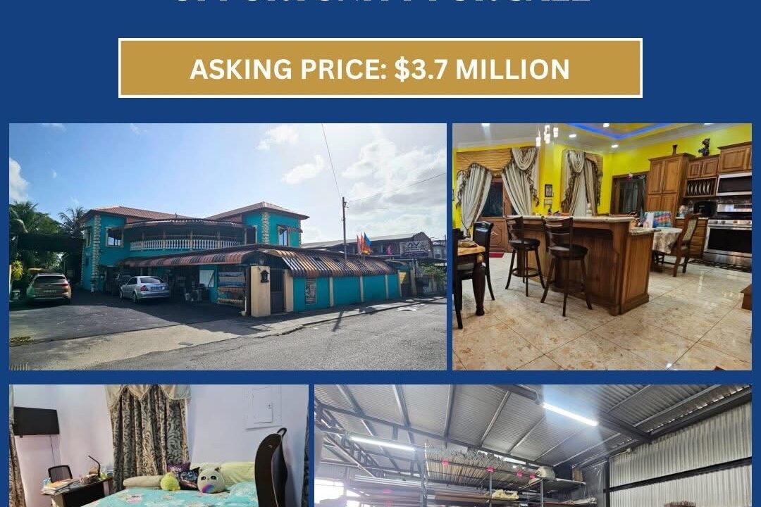 Image - 2026-03-19T161725.628