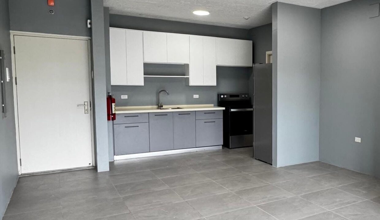 Image - 2026-03-23T161516.260