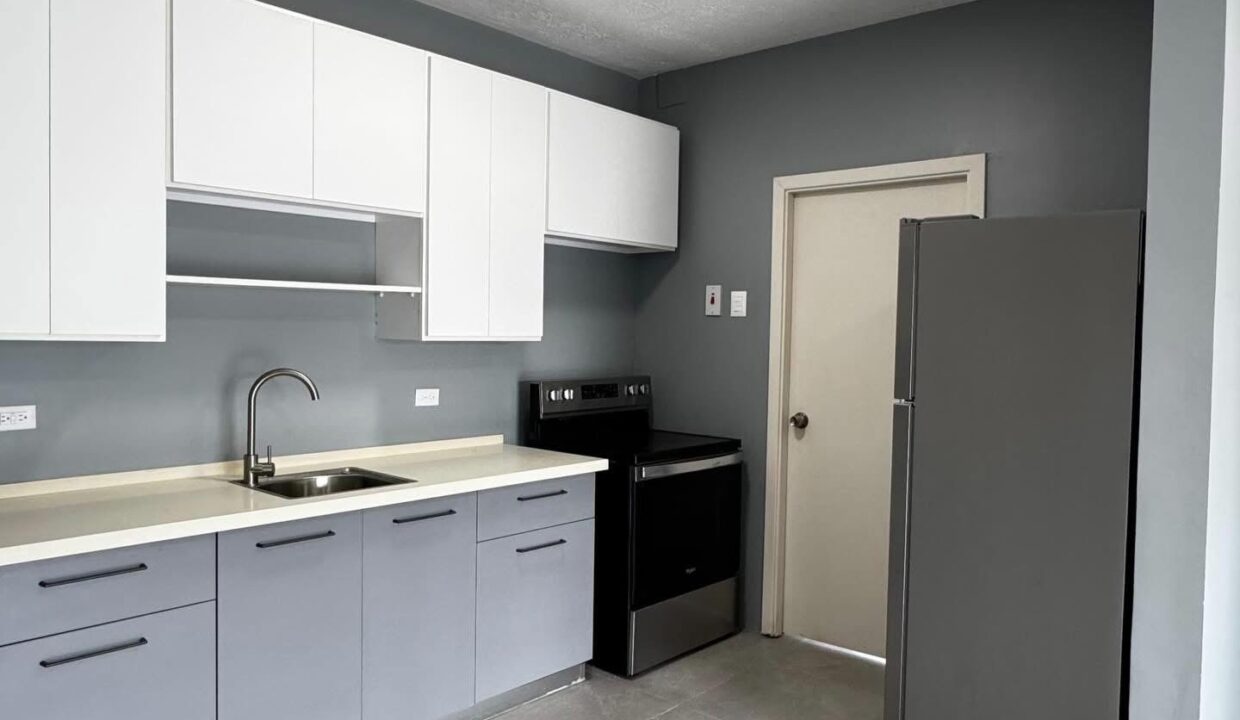 Image - 2026-03-23T161521.090