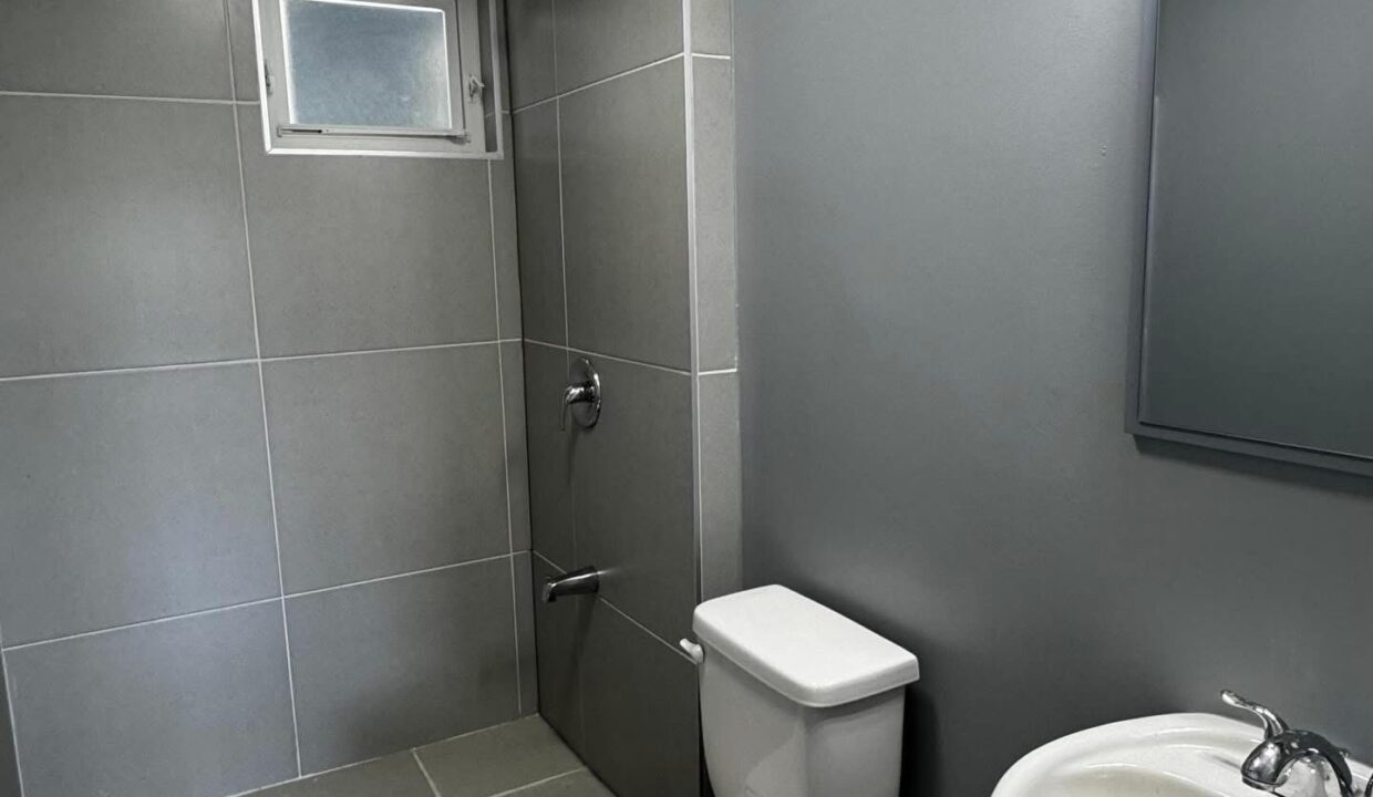 Image - 2026-03-23T161538.097