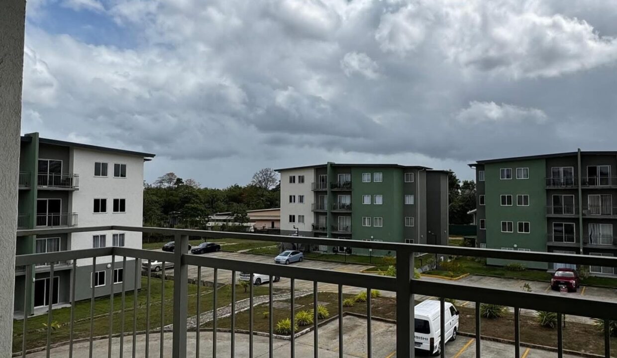 Image - 2026-03-23T161542.071