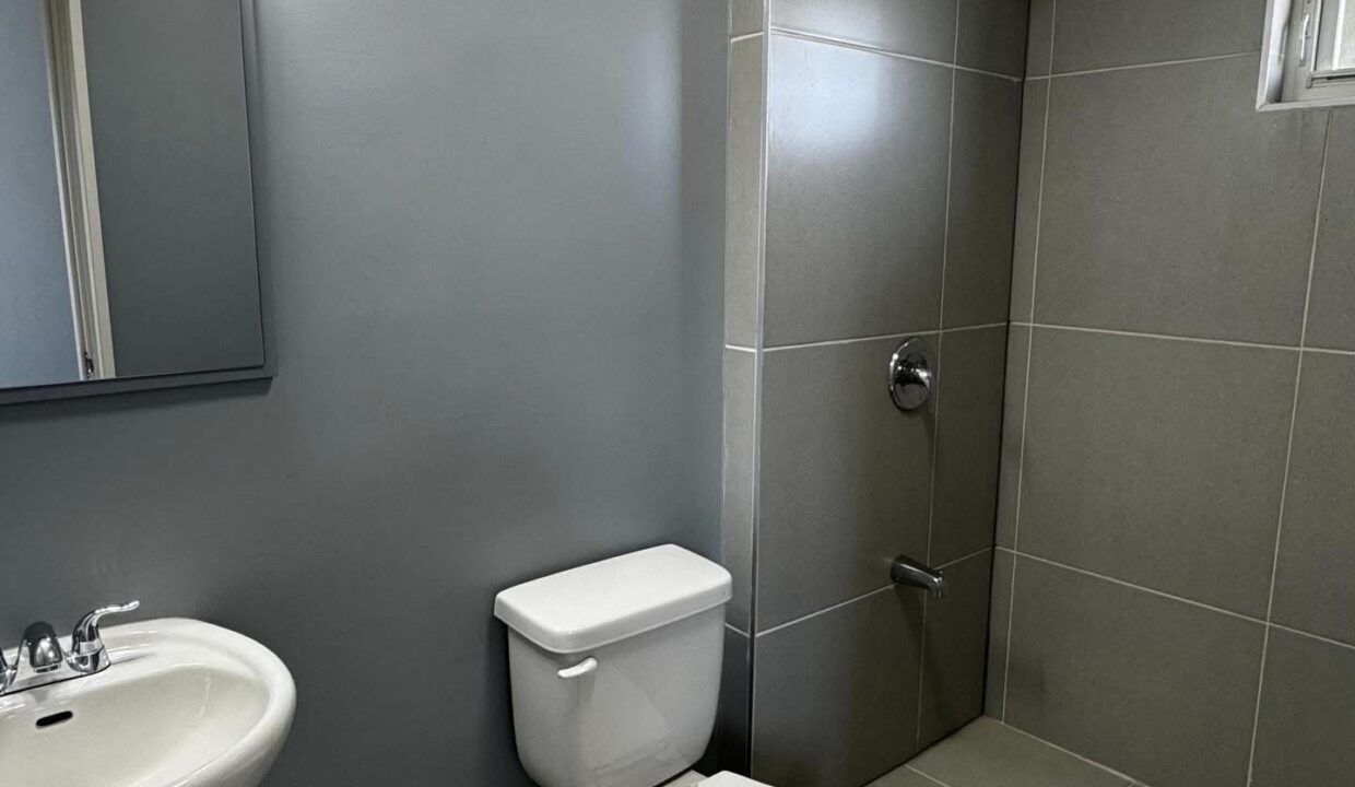 Image - 2026-03-23T161549.219