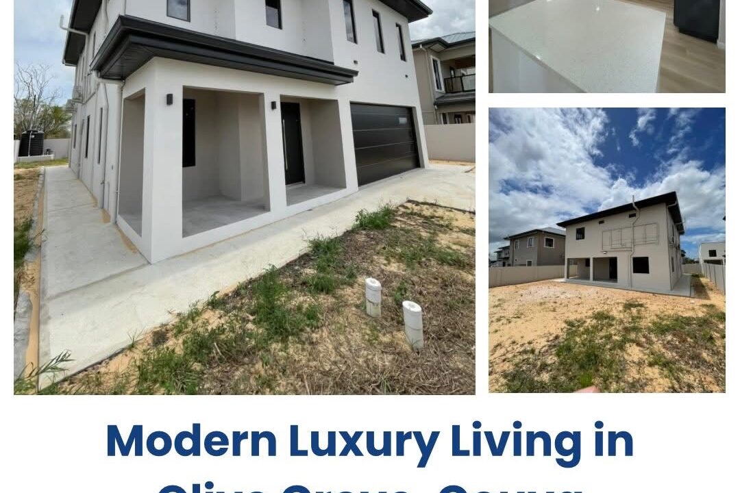 Image - 2026-03-24T124032.110