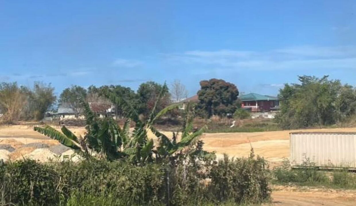 Image - 2026-03-31T143005.447