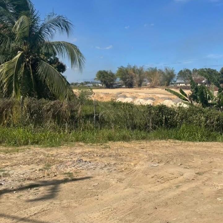 Image - 2026-03-31T143009.412