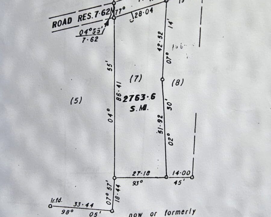 723240833_1539831131171170_673803862378496539_n